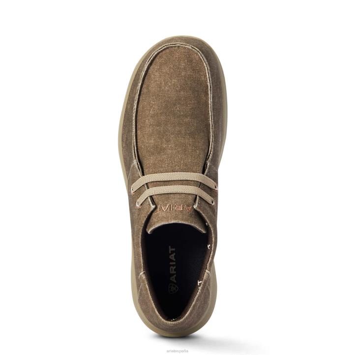 hilos 1 Ariat hombres lona marrón calzado 044J436