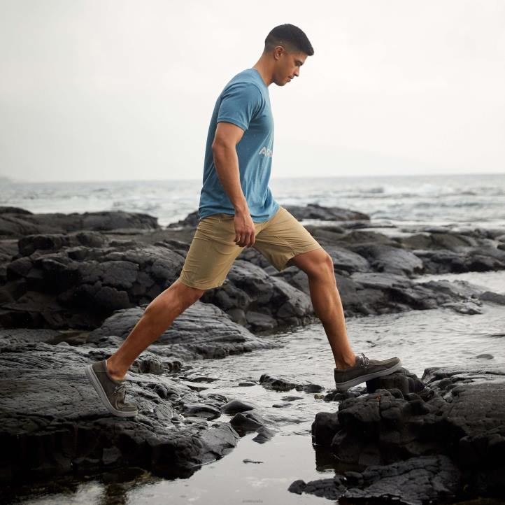 tek corto Ariat hombres incienso fondos 044J544