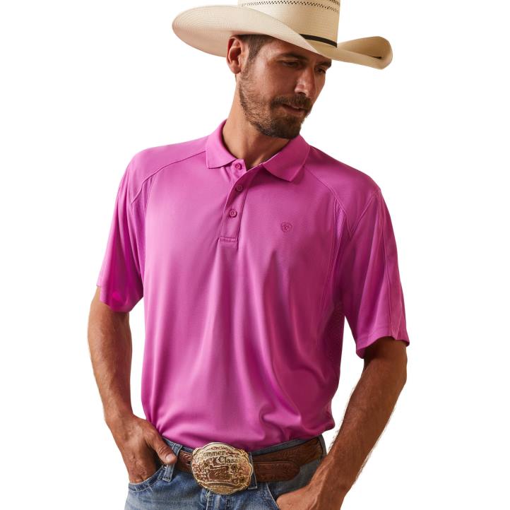 polo ac Ariat hombres orquídea dk tapas 044J598