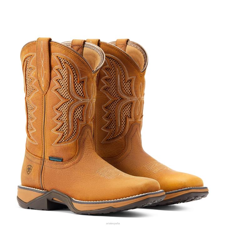 bota vaquera impermeable himno venttek Ariat mujer trigo tostado calzado 044J2276