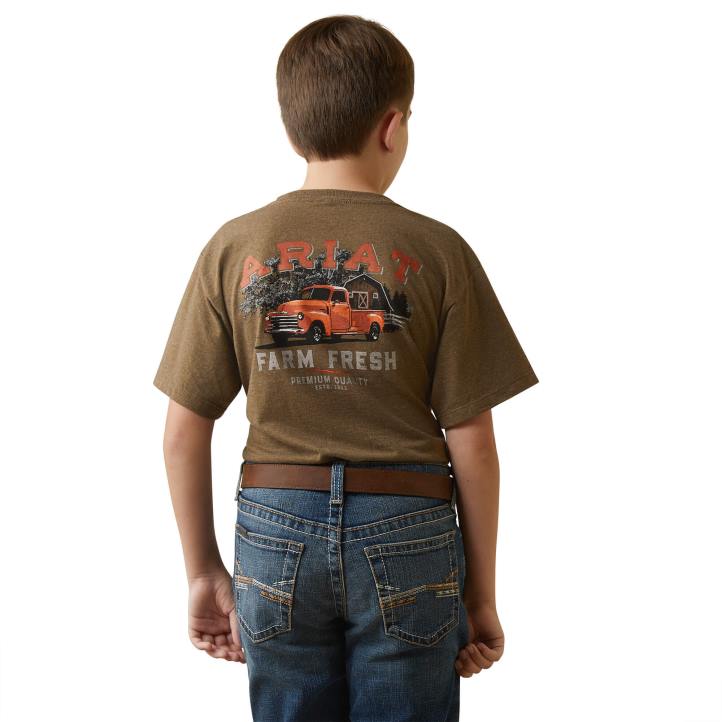 camiseta de camión agrícola Ariat niños brezo moca ropa 044J4019