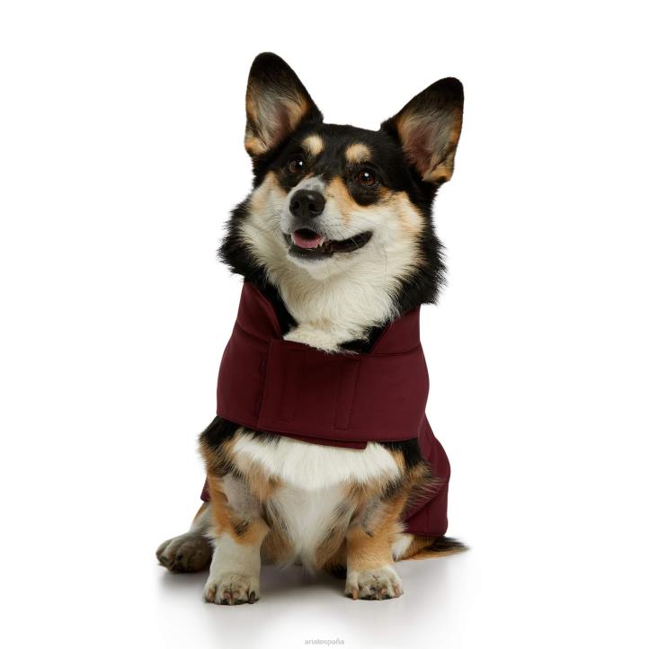 chaqueta softshell para perros del equipo Ariat unisexo vino de windsor accesorios 044J2011